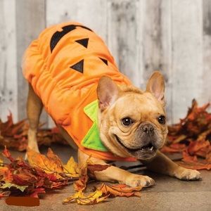 Jack-o’-lantern Pet Costume🎃